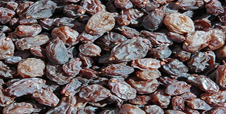 Salted Almond
